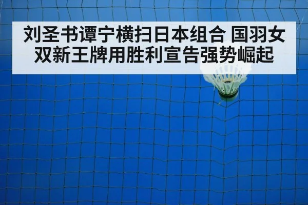 badminton net play